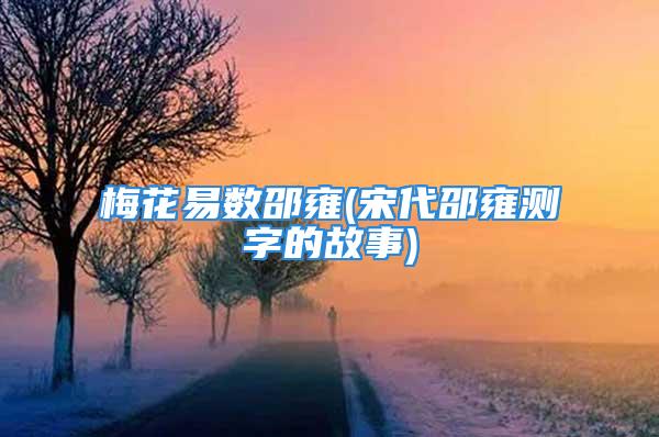 梅花易数邵雍(宋代邵雍测字的故事)