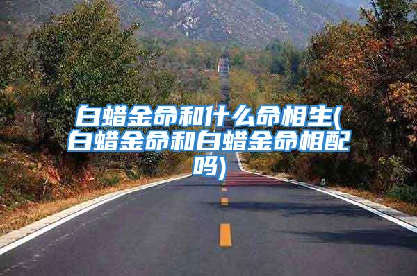 白蜡金命和什么命相生(白蜡金命和白蜡金命相配吗)