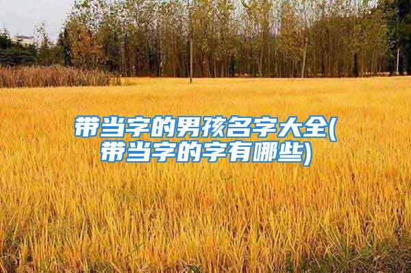 带当字的男孩名字大全(带当字的字有哪些)