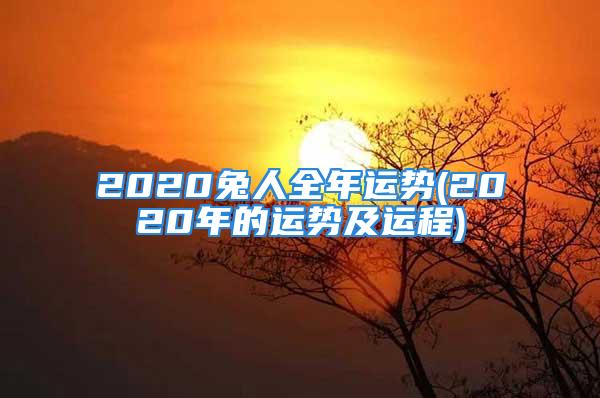 2020兔人全年运势(2020年的运势及运程)