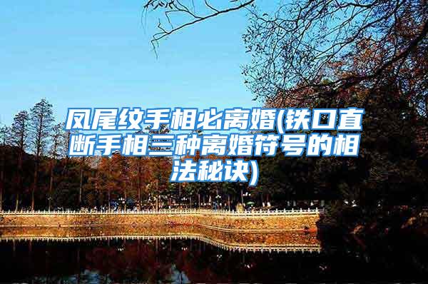 凤尾纹手相必离婚(铁口直断手相三种离婚符号的相法秘诀)