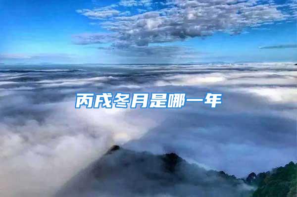 丙戌冬月是哪一年