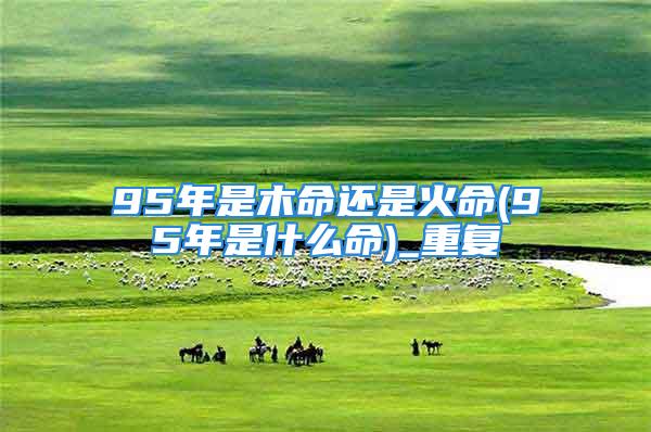 95年是木命还是火命(95年是什么命)_重复