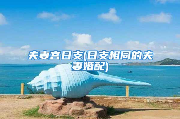 夫妻宫日支(日支相同的夫妻婚配)