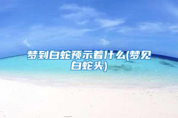 梦到白蛇预示着什么(梦见白蛇头)