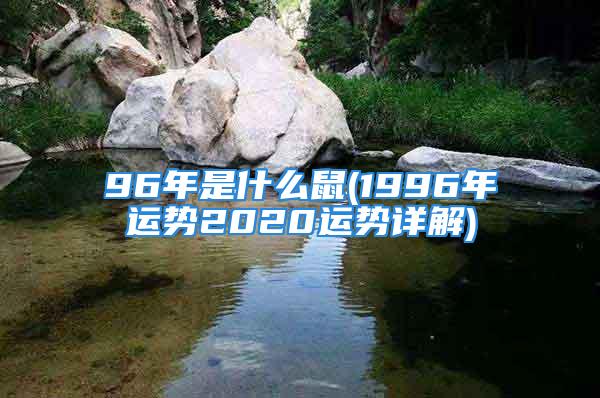 96年是什么鼠(1996年运势2020运势详解)