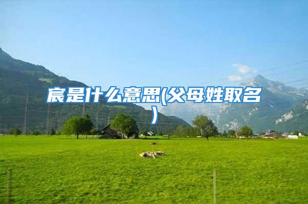 宸是什么意思(父母姓取名)