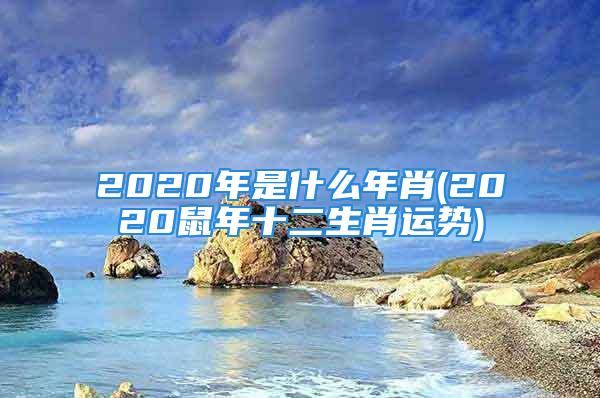 2020年是什么年肖(2020鼠年十二生肖运势)