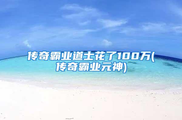 传奇霸业道士花了100万(传奇霸业元神)