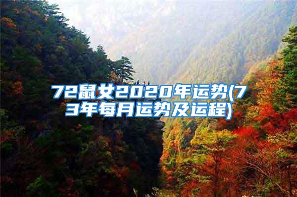 72鼠女2020年运势(73年每月运势及运程)