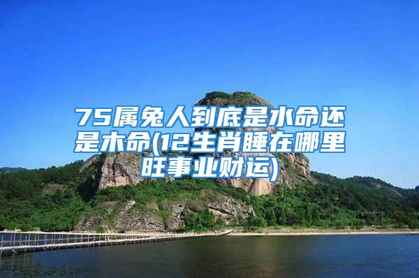 75属兔人到底是水命还是木命(12生肖睡在哪里旺事业财运)