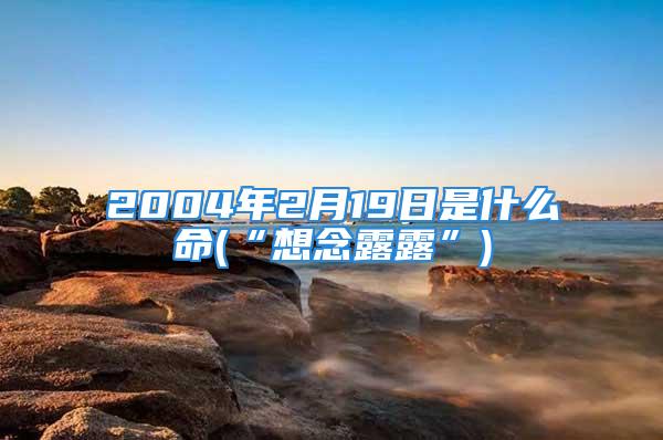 2004年2月19日是什么命(“想念露露”)