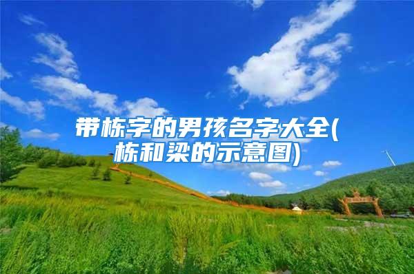 带栋字的男孩名字大全(栋和梁的示意图)