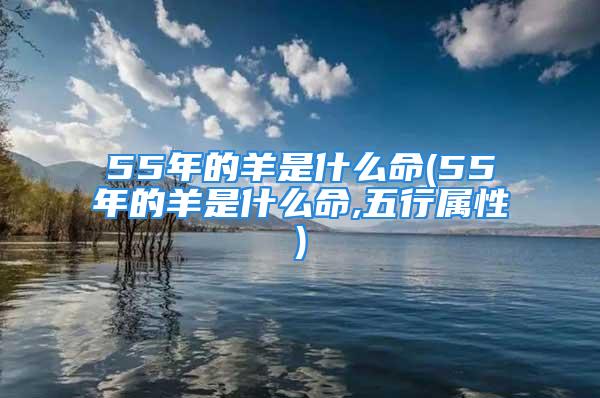 55年的羊是什么命(55年的羊是什么命,五行属性)