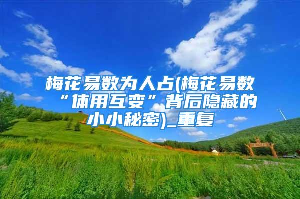 梅花易数为人占(梅花易数“体用互变”背后隐藏的小小秘密)_重复