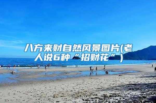 八方来财自然风景图片(老人说6种“招财花”)