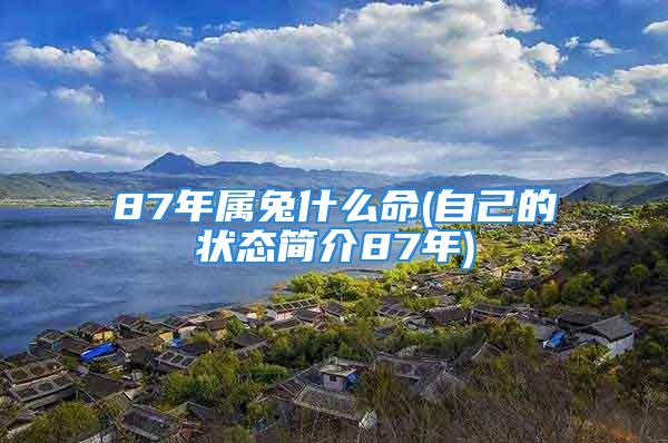 87年属兔什么命(自己的状态简介87年)