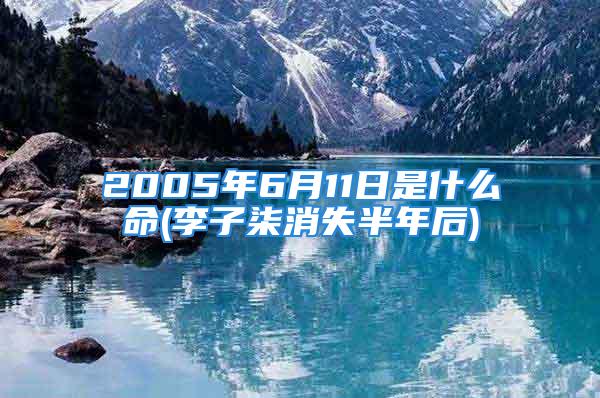 2005年6月11日是什么命(李子柒消失半年后)