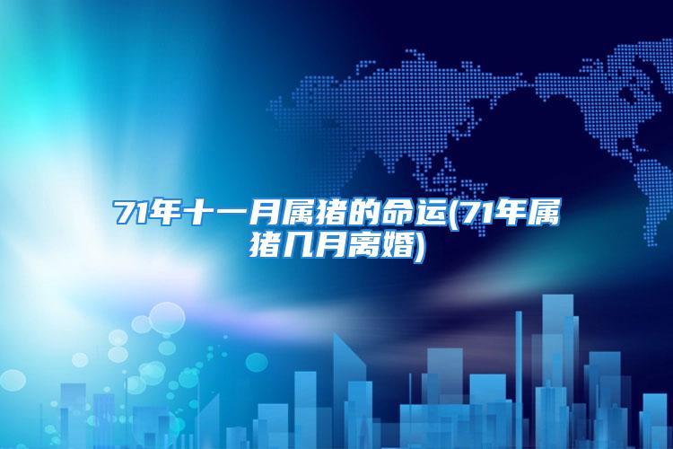 71年十一月属猪的命运(71年属猪几月离婚)