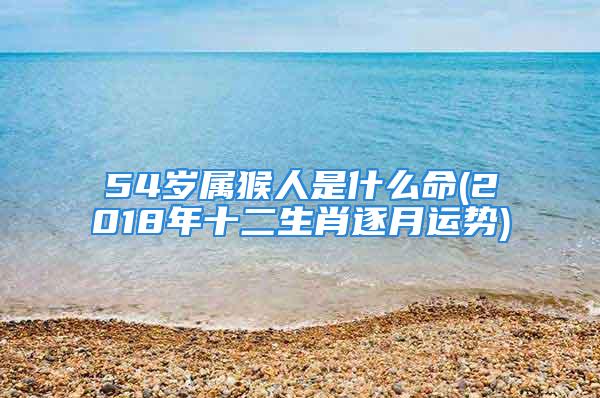 54岁属猴人是什么命(2018年十二生肖逐月运势)