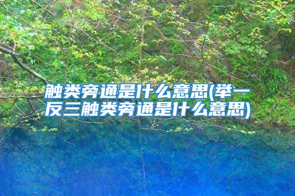 触类旁通是什么意思(举一反三触类旁通是什么意思)