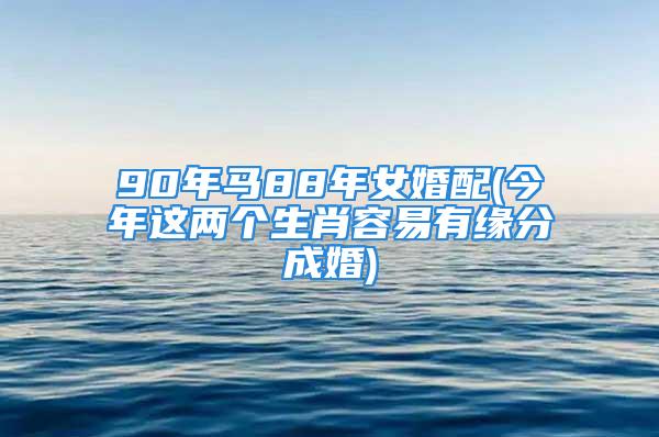 90年马88年女婚配(今年这两个生肖容易有缘分成婚)