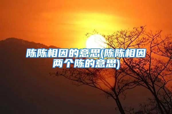 陈陈相因的意思(陈陈相因两个陈的意思)