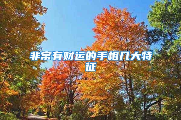 非常有财运的手相几大特征