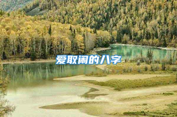爱取闹的八字