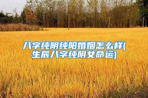 八字纯阴纯阳婚姻怎么样(生辰八字纯阴女命运)