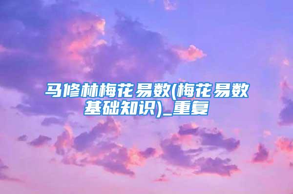 马修林梅花易数(梅花易数基础知识)_重复