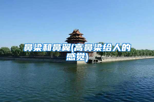 鼻梁和鼻翼(高鼻梁给人的感觉)