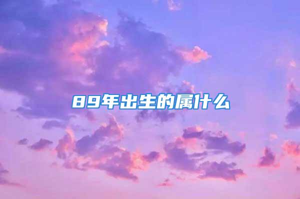 89年出生的属什么