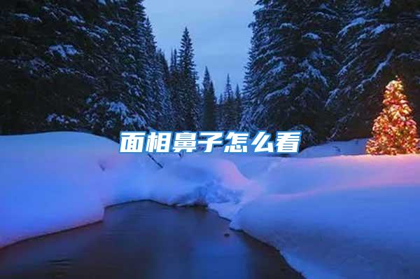 面相鼻子怎么看