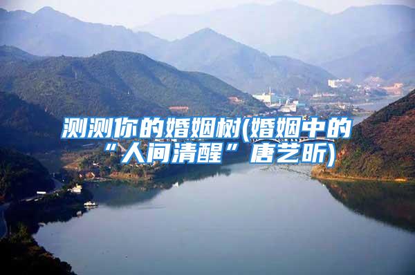 测测你的婚姻树(婚姻中的“人间清醒”唐艺昕)