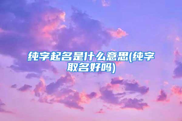 纯字起名是什么意思(纯字取名好吗)