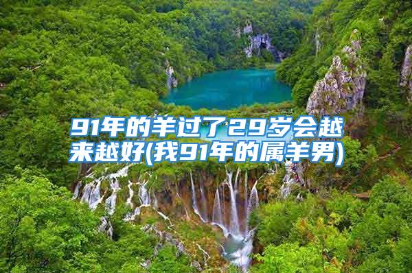 91年的羊过了29岁会越来越好(我91年的属羊男)