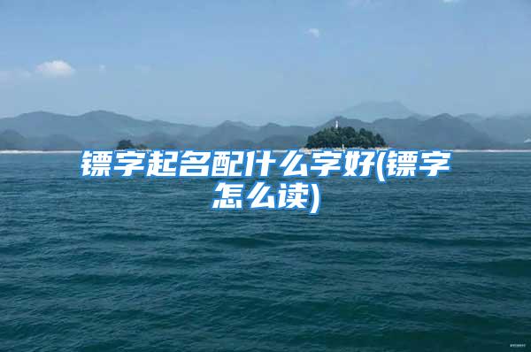 镖字起名配什么字好(镖字怎么读)