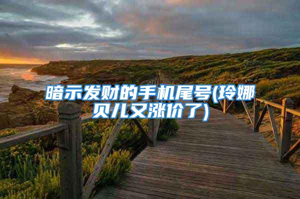 暗示发财的手机尾号(玲娜贝儿又涨价了)