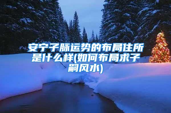 安宁子脉运势的布局住所是什么样(如何布局求子嗣风水)