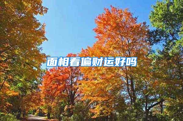 面相看偏财运好吗