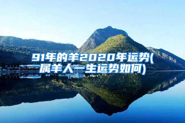 91年的羊2020年运势(属羊人一生运势如何)