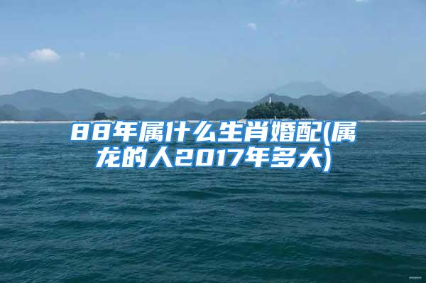88年属什么生肖婚配(属龙的人2017年多大)