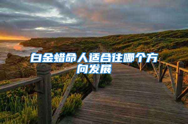 白金蜡命人适合往哪个方向发展