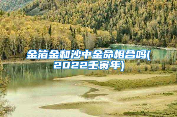 金箔金和沙中金命相合吗(2022壬寅年)
