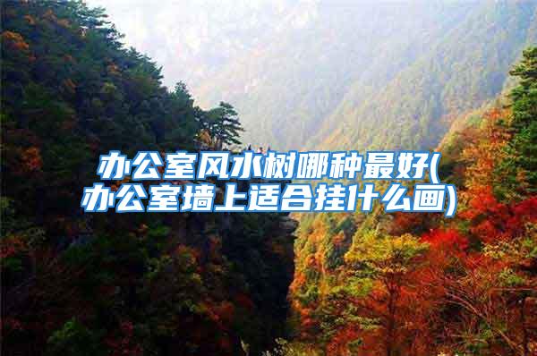 办公室风水树哪种最好(办公室墙上适合挂什么画)