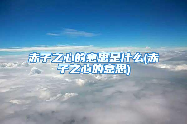 赤子之心的意思是什么(赤子之心的意思)