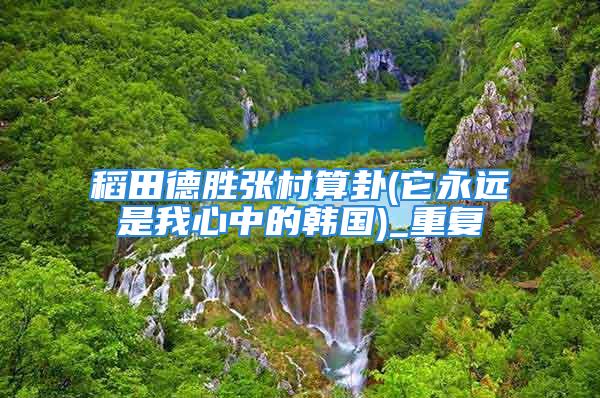 稻田德胜张村算卦(它永远是我心中的韩国)_重复