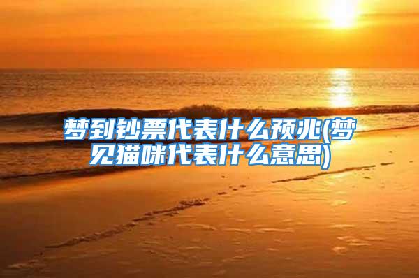 梦到钞票代表什么预兆(梦见猫咪代表什么意思)