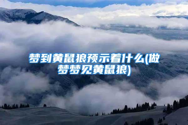 梦到黄鼠狼预示着什么(做梦梦见黄鼠狼)
